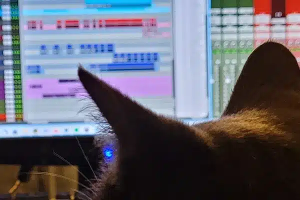 Music Producer Pro Tools Cat